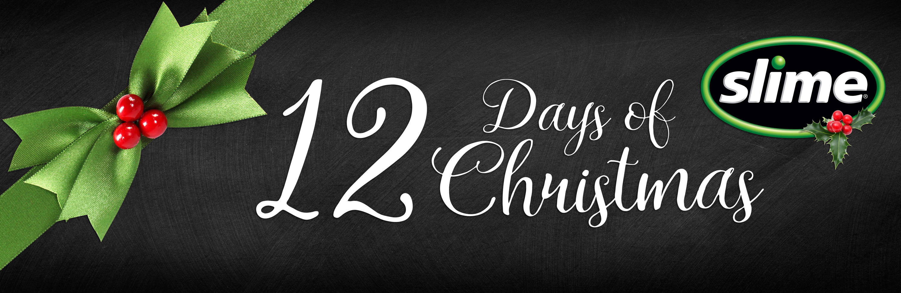 12 Days of Christmas Sweepstakes Thank You Page Slime Products